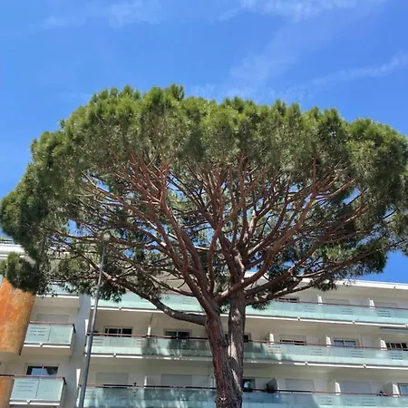 Superbe Lumineux Sur Avec Terrasse ! A Quelques Minutes De La Celebre Rue D'antibes ! *